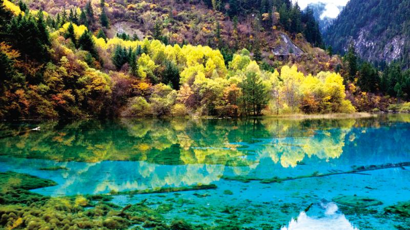 揭秘《千与千寻》的12个秘密 真爱粉你掌握了多少?:十大外围足球平台app(图1) 十大外围足球平台app