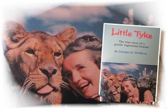 十大外围足球大平台