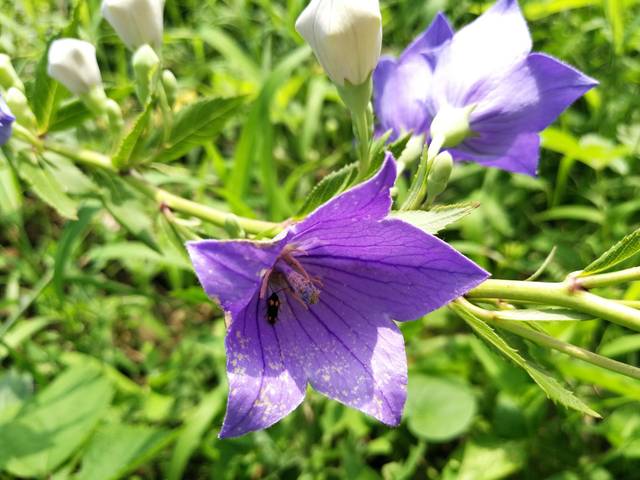 《我家那小子》武艺六年不体检 抽血反问医生能否返回_十大外围足球大平台(图1) 十大外围足球大平台