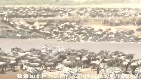 十大外围足球平台app