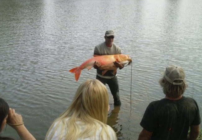 超人回来了20171105期 纪念4周年李栋旭惊喜现身【十大外围足球平台app手机版】(图2) 十大外围足球大平台