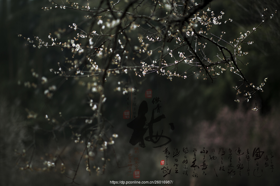 十大外围足球大平台:欧冠皇马对阵巴黎圣日耳曼大名单:一线队全员出战(图1) 十大外围足球平台app手机版