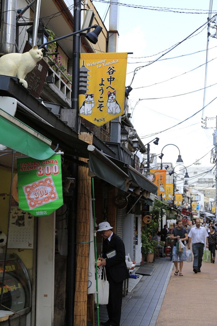 十大外围足球平台app手机版